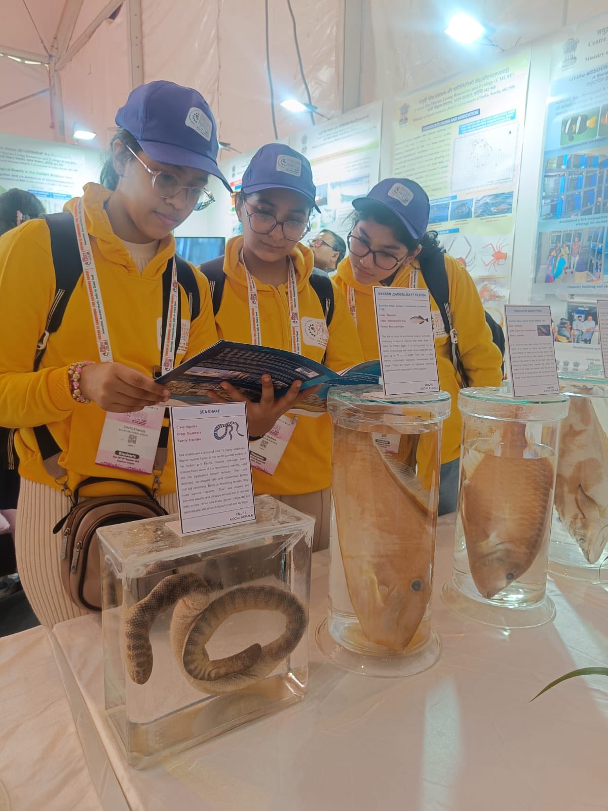 INDIA INTERNATIONAL SCIENCE FAIR 2025