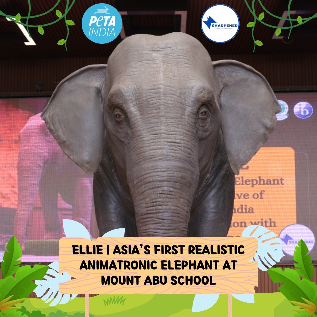 ELLIE VISITS MOUNT ABU SCHOOL